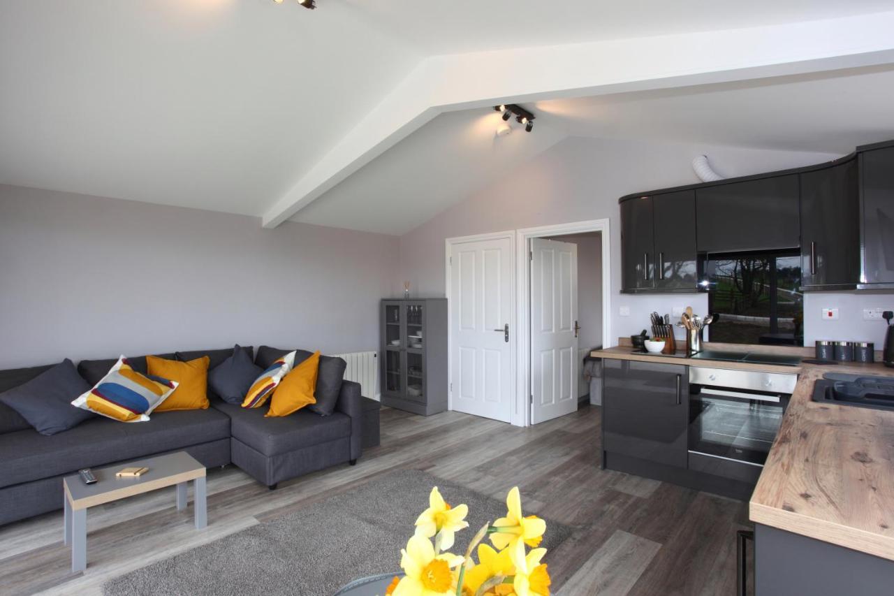 Deerfin Rentals Private Chalet With Hot Tub Ballymena Exterior photo
